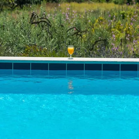 Harmonia - Comfort One-bedroom With Balcony And Shared Pool