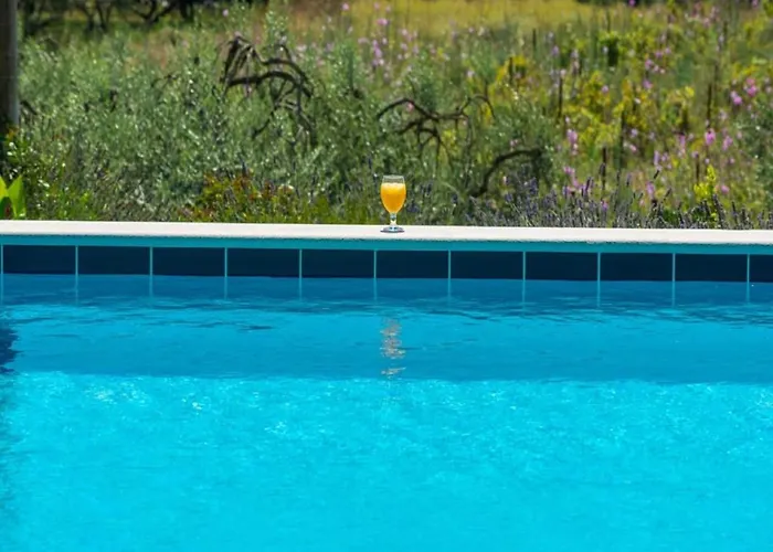 Harmonia - Comfort One-bedroom With Balcony And Shared Pool